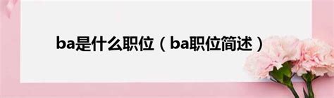 ba 意思|BA是什麼意思？人文社科領域學位指南 